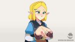 1girl animated breasts moikaloop princess_zelda the_legend_of_zelda topless webm