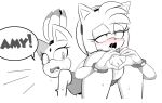 amy_rose blaze_the_cat edit hearlesssoul sonic tagme tinydevilhorns