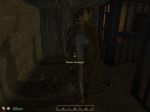 3d 3d_(artwork) breasts cg elder_scrolls female furry khajit nude oblivion prison prison_cell slave small_breasts