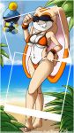 2011 beach bikini chao cream_the_rabbit photo_(object) sega sonic sonic_the_hedgehog_(series) sonicdash sunglasses text