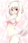 1girl animal_ears armpits arms_behind_head bad_id blush bra female inubashiri_momiji lingerie momiji_inubashiri panties pink_bra pink_panties red_eyes short_hair silver_hair solo tail takeno_koko tears touhou underwear underwear_only white_hair wolf_ears wolf_tail yuika_(yurika712) yurichi