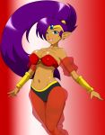 shantae (character) from capcom by speeds