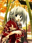 1girl bamboo bamboo_forest black_eyes blush copyright_request forest hentai japanese_clothes mitsumi_misato nature solo white_hair