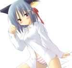 animal_ears arm_support bed blue_hair blush blushing bottomless bow brown_eyes cat_ears cat_pose catgirl dress_shirt dutch_angle hair_ornament hair_ribbon hairclip hentai nekomimi no_pants panties paw_pose pink_panties red_eyes ribbon shirt short_hair silver_hair sitting striped striped_panties stripes underwear white_shirt