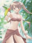 1girl bandeau_bikini bikini bird blush brown_hair hentai pareo parrot solo swimsuit twintails