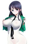  big_breasts black_hair blue_eyes blush breasts erect_nipples highres large_breasts long_hair looking_at_viewer mahouka_koukou_no_rettousei nipples parted_lips purple_hair see-through shiba_miyuki smile solo 