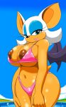 1girl bat belly big_breasts bikini breasts female female_only navel nipples pool rouge_the_bat sega skimpy smile solo_female sonic_*(series) sonic_the_hedgehog_(series) speeds water wings