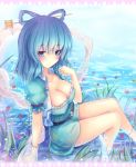 1girl blue_eyes blue_hair blush breasts cleavage dress female flower hair_ornament hair_rings hair_stick kaku_seiga shawl short_hair signature sitting solo touhou vest walzrj