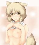 1girl alternate_eye_color alternate_hair_color animal_ears bad_id beegle blonde_hair blush breasts female inubashiri_momiji shirt_lift short_hair solo tail touhou wolf_ears wolf_tail