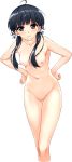  1girl ahoge bare_legs bare_shoulders black_hair blue_eyes blush breasts collarbone female hair_ribbon hands_on_hips hasekura_airi high_res highres hips leaning_forward legs long_hair long_image looking_at_viewer misaki_kurehito mound_of_venus navel nipples no_pussy nude ribbon smile solo standing tall_image thigh_gap thighs transparent_background twin_tails twintails ushinawareta_mirai_wo_motomete 