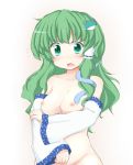  1girl akagaminanoka blush breast_hold breasts bust detached_sleeves female fuuen_(akagaminanoka) green_eyes green_hair groin hair_ribbon holding_arm kochiya_sanae mound_of_venus nipples nude out-of-frame_censoring ribbon sanae_kochiya snake solo touhou upper_body wavy_hair 