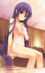 1girl bare_legs bare_shoulders blush breasts brown_eyes cleavage covering covering_breasts feet_in_water high_res highres long_hair looking_at_viewer muririn nagamitsu_maya naked_towel noble_works nude nude_cover purple_hair sitting soaking_feet solo source_request towel tsurime very_long_hair water