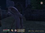 cat_ears cat_tail cg clipping gay male masturbation nude oblivion outside penis public screenshot solo tail the_elder_scrolls toras_(oblivion) white_hair