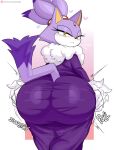 blaze the cat from sega by jinu