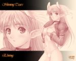 elf elwing head_wings hentai panties pointy_ears sega shining_(series) shining_tears taka_tony taka_tony_(artist) takayuki_tanaka takayuki_tanaka_(artist) tanaka_takayuki tanaka_takayuki_(artist) tony_taka tony_taka_(artist) underwear wallpaper