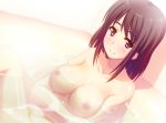  1girl bath blush breasts brown_eyes brown_hair original shiva shiva_(artist) shiva_(executor) siva_(executor) smile solo water 