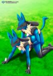 1boy 1girl bbmbbf black_fur blue_fur blush closed_eyes doggy_position female_pokemon gen_4_pokemon lucario male_pokemon male_pokemon/female_pokemon palcomix pokemon pokepornlive yellow_fur