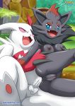 anal bbmbbf black_fur blue_eyes breasts female_pokemon male/female male_pokemon nintendo palcomix pokemon pokepornlive pussy red_eyes white_fur zangoose zorua