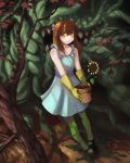  1girl forest majalis monster plant plant_monster 