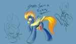 spitfire from friendship is magic