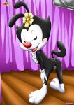 animaniacs bbmbbf dot_warner fur34* palcomix warner_brothers