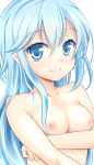  1girl blue_eyes blue_hair breasts denpa_onna_to_seishun_otoko evangelline long_hair looking_at_viewer nipples nude simple_background smile solo touwa_erio white_background 