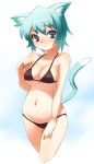  1girl animal_ears aqua_eyes aqua_hair bad_id belly bikini breasts cat_ears cat_tail cat_tails cropped_legs hair midriff navel original oryou short_hair solo swimsuit tail underboob 