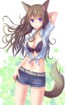 1girl animal_ears belt blush bra breasts brown_hair cleavage cutoffs dog_ears dog_tail front-tie_top high_res highres long_hair midriff navel open_clothes open_shirt original parted_lips purple_eyes shiny shiny_skin shirt shorts solo suikakitsu_shiro tail tied_shirt underwear