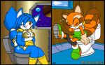  krystal marine_the_raccoon sonic_(series) tagme toilet 