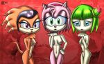 3girls 4kids_entertainment amy_rose cosmo_the_seedrian dcencia echidna female hedgehog seedrian sega shade_the_echidna sonic_(series) sonic_chronicles sonic_the_hedgehog_(series) sonic_x tms_entertainment