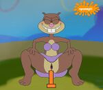 1girl 1girl 1girl bikini brown_fur buckteeth closed_eyes dildo female_only front_view furry grin legs nickelodeon orange_dildo parody pee pussy sandy_cheeks spanky15 spongebob_squarepants squirrel why you_should_kill_yourself_now