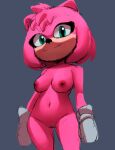 1girl 1girl 1girl amy_rose amy_rose_(sonic_movie) animal_ears animal_nose anthro bangs body_fur breasts cleft_of_venus closed_mouth clothing completely_nude completely_nude_female coolerinker cowboy_shot eulipotyphlan furry furry_female genitals gloves gray_background green_eyes grey_background groin happy hedgehog inker_comics inkershike looking_at_viewer mammal medium_breasts navel nipples nude nude_female pink_body pink_fur pink_hair pink_skin pussy pussy sega short_hair simple_background sketch smile sonic sonic_the_hedgehog_(film) sonic_the_hedgehog_(series) standing stomach two-tone_fur uncensored white_gloves