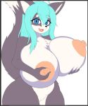 1girl big_breasts female fox furry soulkibble