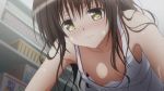  1boy 1girl animated animated_gif blush breasts brother_and_sister brown_hair cleavage down_blouse downblouse flower gif incest lips long_hair mikan_yuuki no_bra rito_yuuki siblings small_breasts strap_slip to_love-ru to_love-ru_darkness yuuki_mikan yuuki_rito 