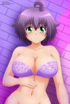 big_breasts bra green_eyes huge_breasts looking_at_viewer mostly_nude panties yukino_akaihi zel-sama