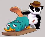 bear disney furry panda perry_the_platypus peter_the_panda phineas_and_ferb platypus yaoi