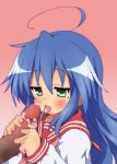izumi konata from lucky star by tyke