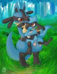 lucario nintendo pokemon riolu tricksta