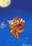 1boy 1girl anthro barefoot bat big_breasts breasts falling feet female fox furry interspecies male male/female miles_"tails"_prower moon night nipples nude ocean rouge_the_bat sea sega sex sonic_the_hedgehog_(series) straight taken_from_behind the1stmoyatia vaginal_penetration water