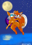 1boy 1girl anthro balls barefoot bat big_breasts breasts feet female flying flying_sex fox furry interspecies male male/female miles_"tails"_prower moon night nipples nude ocean penis rouge_the_bat sea sega sex sonic_the_hedgehog_(series) straight taken_from_behind the1stmoyatia vaginal_penetration water