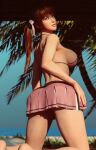 1girl alluring ass bare_legs bikini dead_or_alive dead_or_alive_2 dead_or_alive_3 dead_or_alive_4 dead_or_alive_5 dead_or_alive_6 dead_or_alive_xtreme dead_or_alive_xtreme_2 dead_or_alive_xtreme_3 dead_or_alive_xtreme_3_fortune dead_or_alive_xtreme_beach_volleyball dead_or_alive_xtreme_venus_vacation kasumi kasumi_(doa) kunoichi looking_back_at_viewer pin_up sideboob silf steffih_daz tecmo