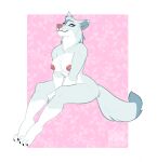 1girl animal_crossing anthro areola big_breasts blue_eyes breasts canid canine canis chest_tuft dipstick_tail eyelashes female fur grey_body grey_fur head_tuft high_res looking_at_viewer mammal markings nintendo nipples nude pattern_background pink_areola pink_background pink_nipples pinup pose simple_background sitting smile smutzkii solo tail tail_markings thick_thighs tuft white_background white_body white_fur whitney_(animal_crossing) wide_hips wolf