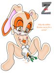 carrot cream_the_rabbit furry improvised_dildo improvised_sex_toy sonic sonic_team text zeta_r-02 zetar02 zetar02_(artist)