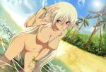 1girl alleyne beach blue_eyes braid breasts cloud elf high_res leaf long_hair megami miyazawa_tsutomu nude_filter palm_tree photoshop pointy_ears pussy queen's_blade silver_hair sky solo tree uncensored very_long_hair water