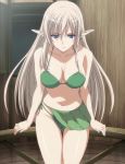 alleyne big_breasts bikini blonde_hair breasts elf green_bikini high_res long_hair pointy_ears queen's_blade screencap side-tie_bikini sitting solo swimsuit