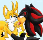 fakerface_(artist) foreskin furry gay male miles_"tails"_prower oral shadow_the_hedgehog shails uncut