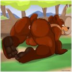 aaron_(artist) anus ass bear brother_bear disney forest koda looking_at_viewer looking_back male outside perineum presenting presenting_hindquarters testicles tree wood young