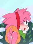 amy_rose apinkgrape dat_ass furry rosy_the_rascal sega sonic_the_hedgehog_(series) tagme