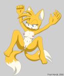 1girl arms_up genderswap m miles_"tails"_prower millie_tailsko on_back pussy rule*63 rule63 rule_63 sega sonic sonic_(series) sonic_the_hedgehog_(series) spread_legs