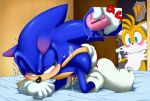  anal anal_insertion anthro blue_fur blush cum dildo erinaceinae erinaceinae_humanoid exhibitionism foreskin fox furry green_eyes hedgehog miles_&quot;tails&quot;_prower orange_fur sega shoppaaaa sonic_team sonic_the_hedgehog sonic_the_hedgehog_(series) uncut vibrator younger_male 